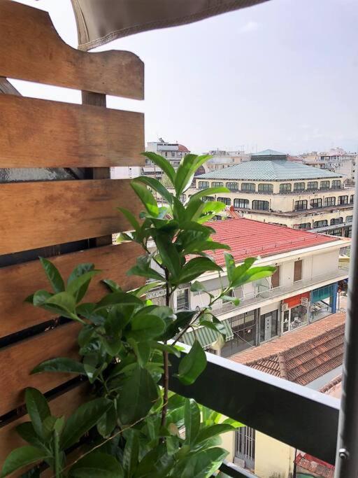 Renovated Flat With Huge Balcony - ανακαινισμένο με τεράστιο μπαλκόνι Apartment Kardítsa